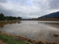 DSC00476