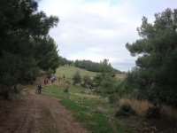 DSC00481