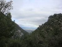 DSC00485