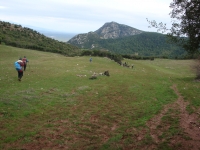 DSC00488