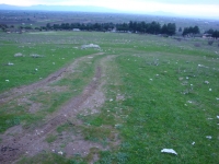 DSC00509
