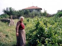199272614
