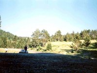 1994062513