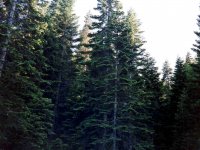 1994062514
