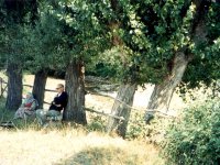 19950800725
