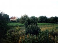 20020915020