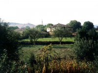 20020915021