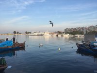 img_0345
