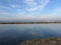 img_0350