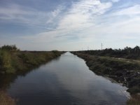 img_0384