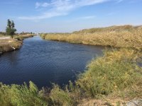 img_0385