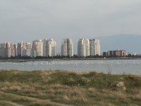 img_0387
