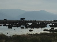 img_0388