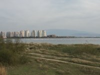 img_0390