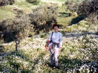 Şirince 1995Mart19