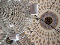 IMG_1895