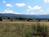 IMG_1937
