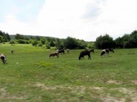 IMG_1945