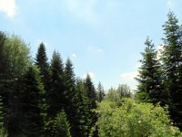 IMG_1952