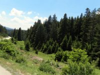 IMG_1965