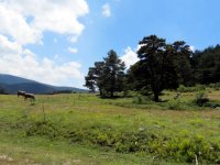 IMG_1968