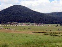 IMG_1988