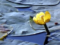 IMG_2138