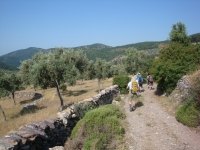 DSC00955
