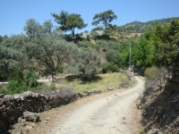 DSC00984