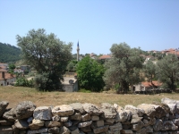 DSC00988
