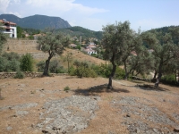 DSC00992