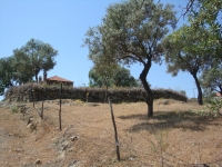 DSC00993