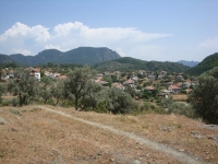 DSC00994