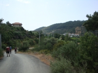 DSC01011