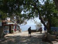 DSC01012