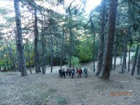 OsmanDemir13
