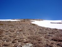 DSC07919