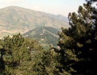 Bozdağ