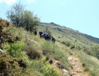 Bozdağ