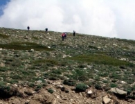 Bozdağ