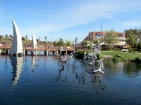 IMG_4305
