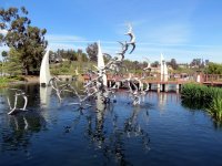 IMG_4306