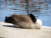 IMG_4311