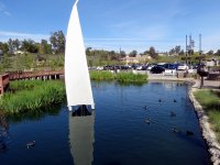 IMG_4323