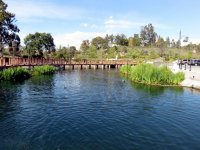 IMG_4387