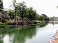IMG_4420