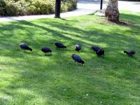 IMG_4435