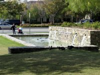 IMG_4470
