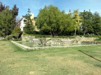 IMG_4473