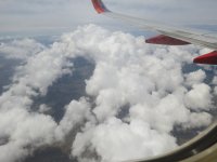 IMG_5919